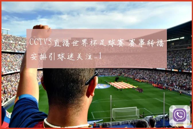 CCTV5直播世界杯足球赛 赛事转播安排引球迷关注_1
