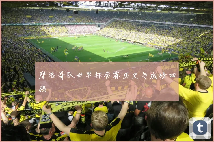 摩洛哥队世界杯参赛历史与成绩回顾